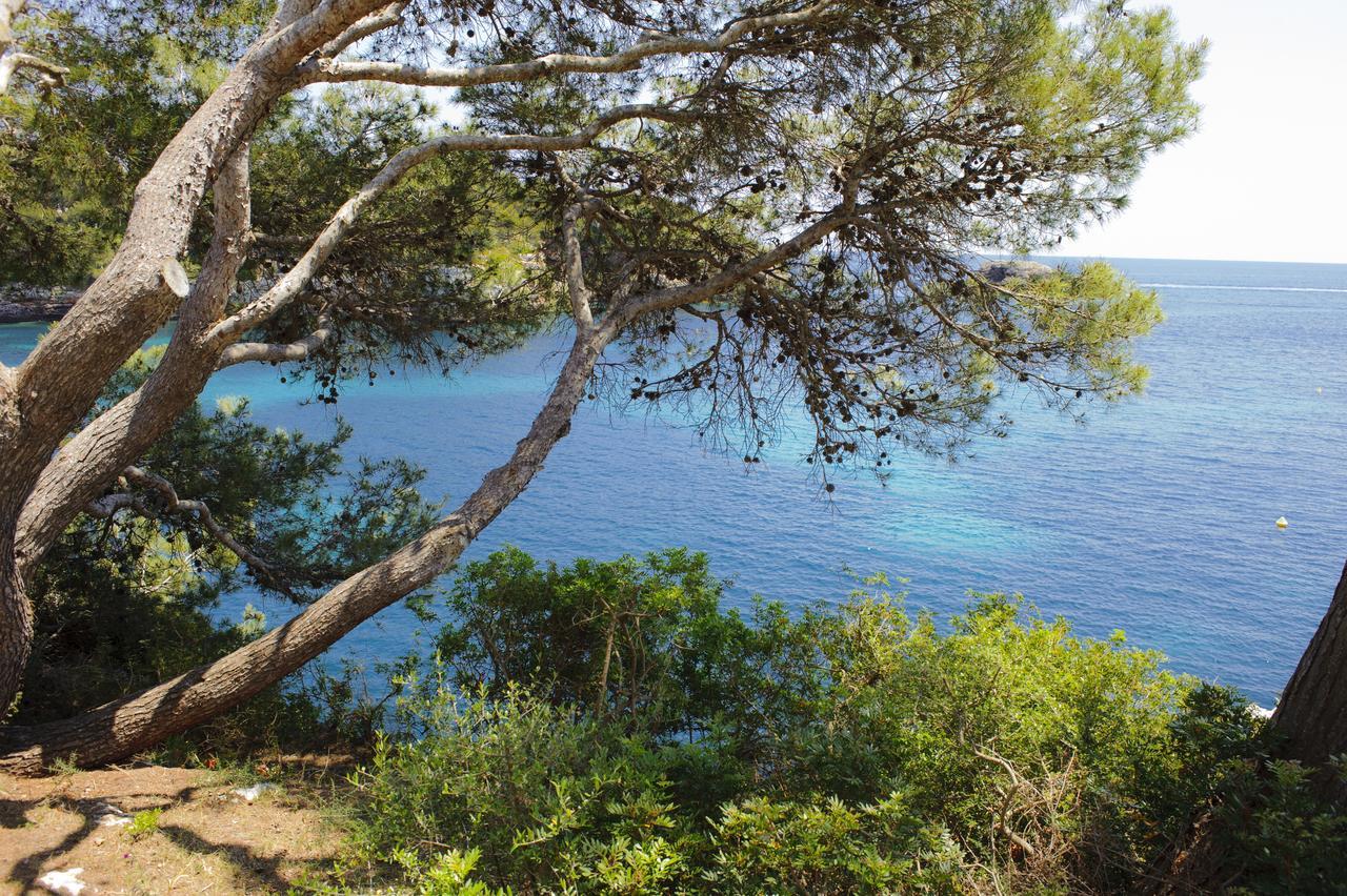 Apartamento Ferrera Park 623 Cala Ferrera  Exteriér fotografie